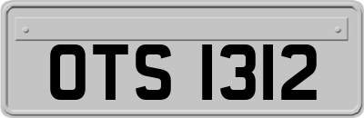 OTS1312