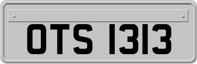 OTS1313