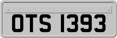 OTS1393