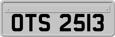 OTS2513