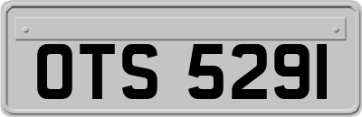 OTS5291