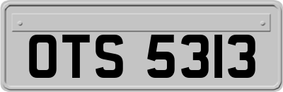 OTS5313