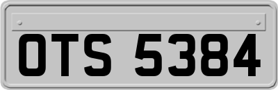 OTS5384