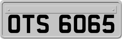 OTS6065