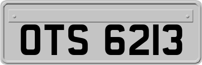 OTS6213