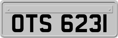 OTS6231
