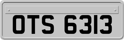 OTS6313