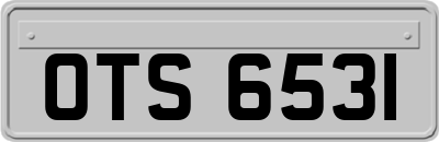 OTS6531