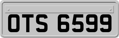 OTS6599