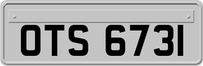 OTS6731