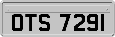 OTS7291