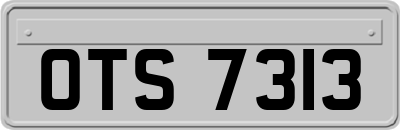 OTS7313