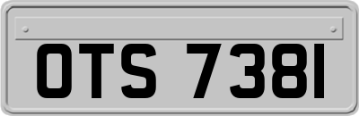 OTS7381