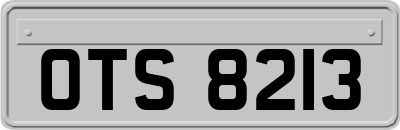 OTS8213