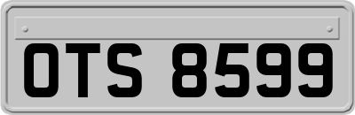 OTS8599