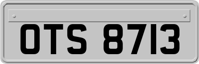 OTS8713