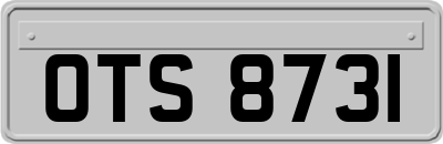 OTS8731