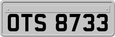 OTS8733