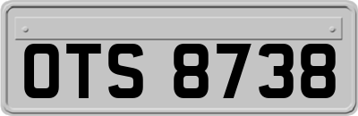 OTS8738