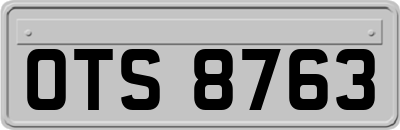 OTS8763