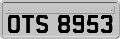 OTS8953
