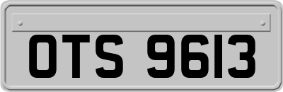 OTS9613