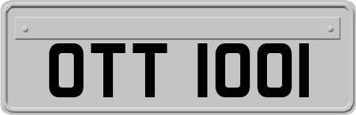 OTT1001