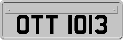 OTT1013