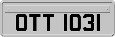 OTT1031