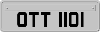OTT1101