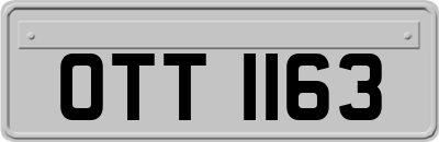 OTT1163