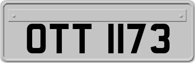 OTT1173