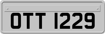 OTT1229
