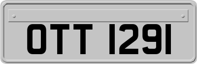 OTT1291