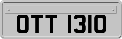 OTT1310