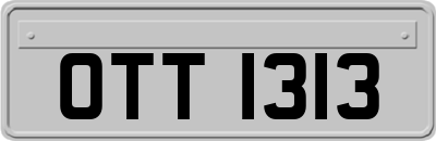 OTT1313