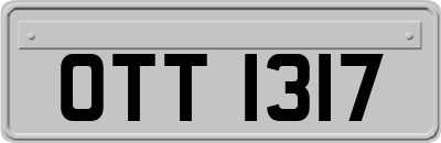 OTT1317