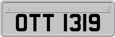 OTT1319