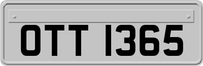 OTT1365