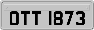 OTT1873
