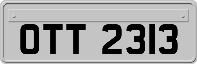 OTT2313