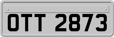 OTT2873