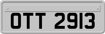 OTT2913
