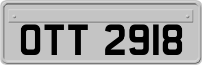 OTT2918