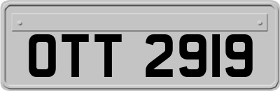 OTT2919