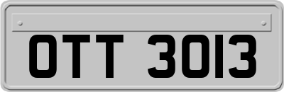 OTT3013