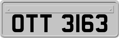 OTT3163