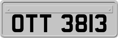 OTT3813