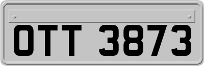 OTT3873