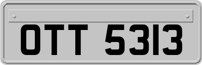 OTT5313